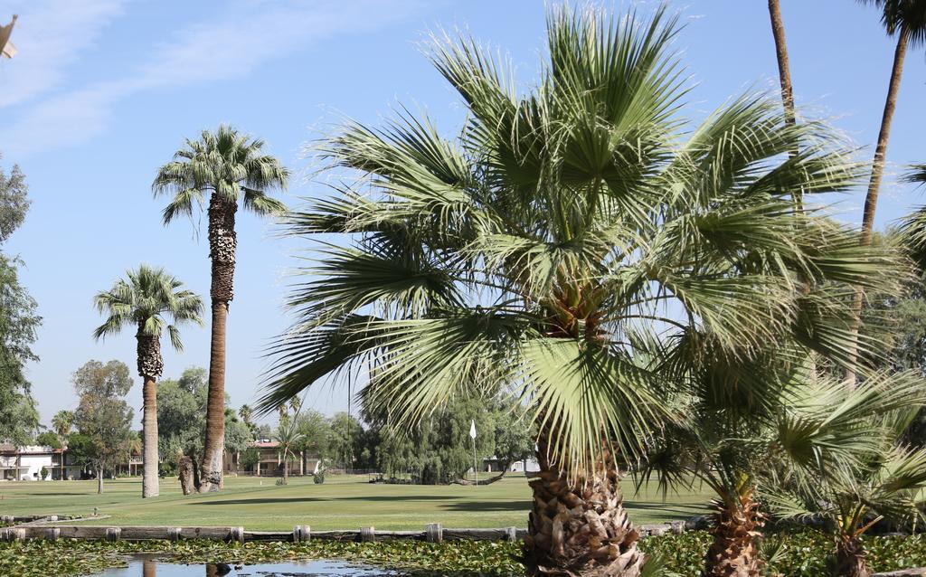 Barbara Worth Golf Resort Holtville Exterior foto